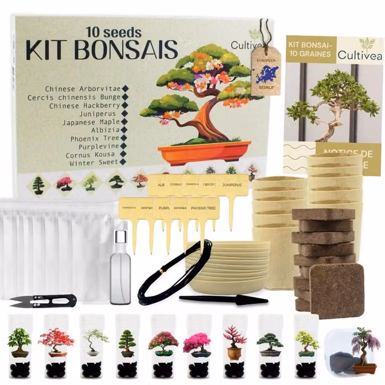 Zestaw do uprawy bonsai – zawiera 10 drzewek bonsai, doniczki i narzędzia