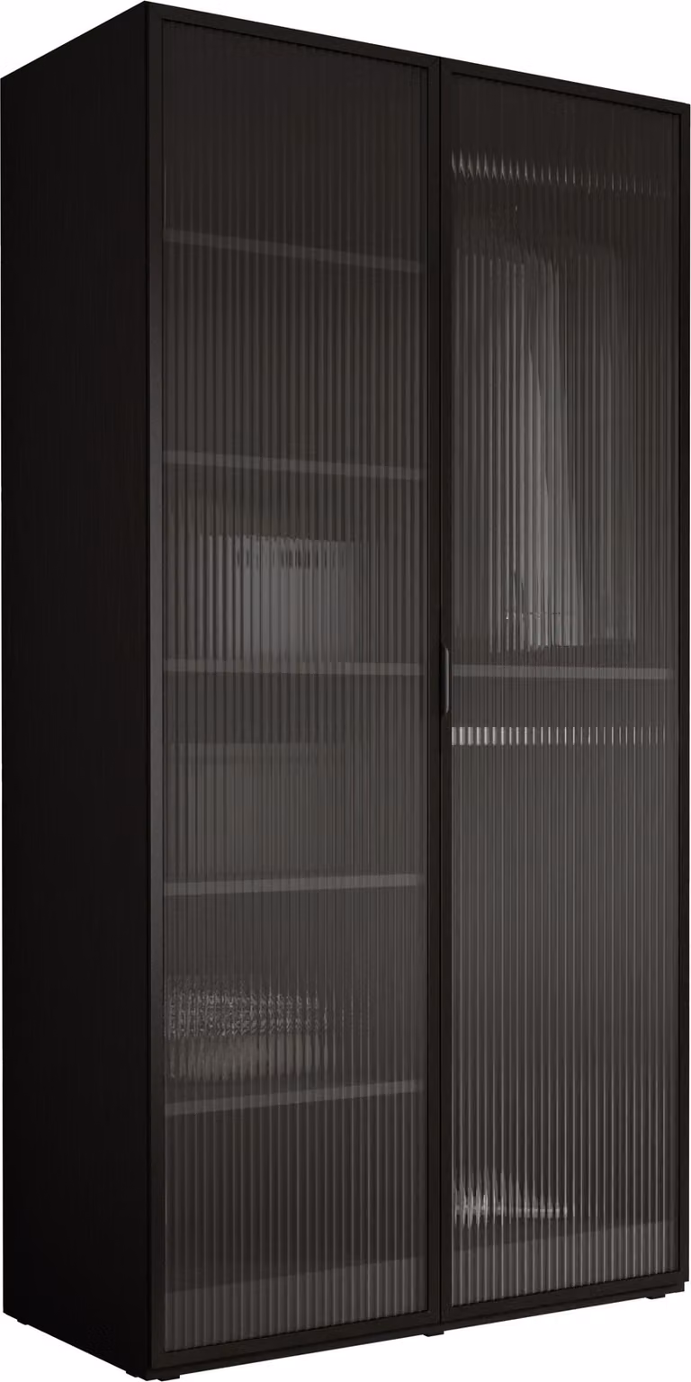 Szafa, grafitowa czerń / przezroczyste szkło, 100 x 200 x 51 cm