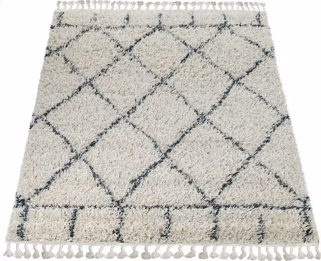 Dywan Nadori z wysokim włosiem w kolorze beżowym z frędzlami, prostokątny, Szerokość: 60 cm, Długość: 100 cm