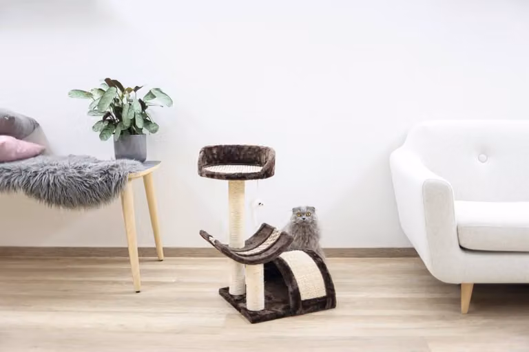 Kerbl Kratzbaum Safari (Höhe 60 cm, mit Liegebett, Grundplatte 38 x 38 cm) 82529