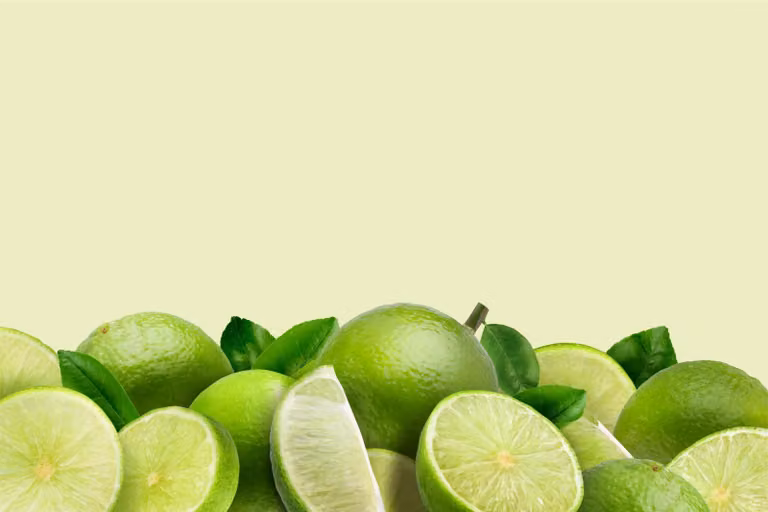 Osłona grzejnika Maskownica kaloryfera Zielona Dekoracja kuchenna 60x100cm Limonki Ozdoba do kuchni na magnes Mata magnetyczna