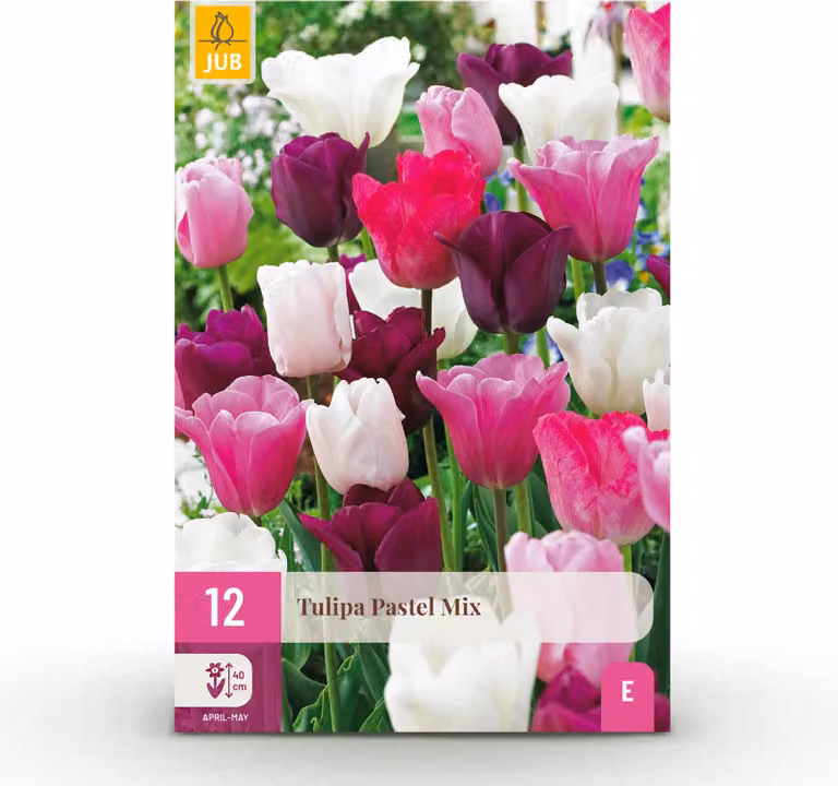Cebulki kwiatowe - Tulipan 'Pastel mix' - Różne kolory - 12 sztuk - Rozmiar cebulki 11/12 - 20-50cm - Ø5cm - Roślina ogrodowa - Wielozadaniowość