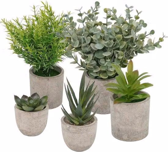 Zestaw 5 sztuk – Miniaturowe rośliny sztuczne – Sukulenty "Język węża" (Agave), Aloes "Orle pazury" – Rośliny plastikowe – Nadają się do sypialni, biura