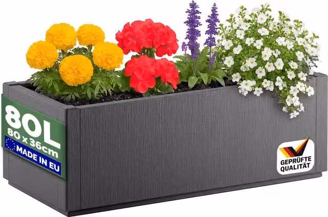Doniczka plastikowa CASARIA Ethica antracyt W x S x G: 80 x 36 x 36 cm