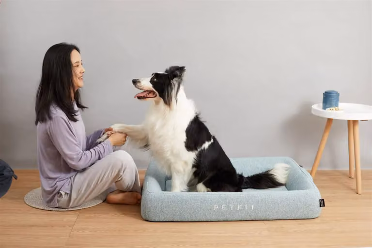 PETKIT Four - M, Łóżko gniazdo zwierząt domowych, Wewnętrzna, Kot / Pies, Zielony, Prostokątny, 1 szt.