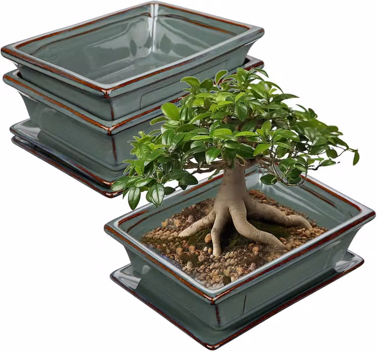 Dwa ceramiczne doniczki do bonsai z podstawką i otworami drenażowymi, prostokątne, o wymiarach 19 x 14 x 6 cm