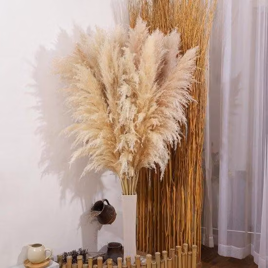 Ibenzoa® zestaw 10 sztuk suszonych traw pampasowych – duże, naturalne i puszyste, łatwe w pielęgnacji dekoracje do salonu, sypialni, na wesele oraz w stylu boho