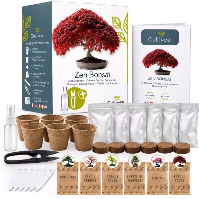 Zestaw do uprawy bonsai – zestaw startowy do bonsai – zawiera doniczki i podłoże – zawiera: jabłoń czerwona, Cercis chinensis, Cornus kousa, Albizia i świerk pospolity – idealny do uprawy w pomieszczeniach i jako prezent